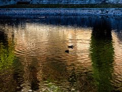 Riflessi nel fiume Tresa