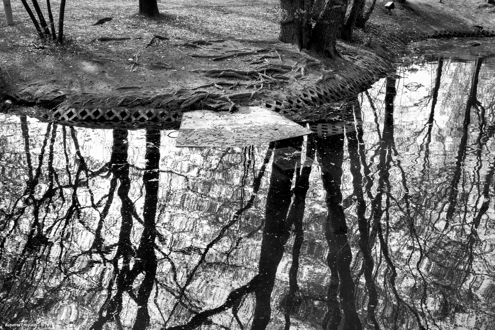 Riflessi nel laghetto, Vigevano, parco Parri