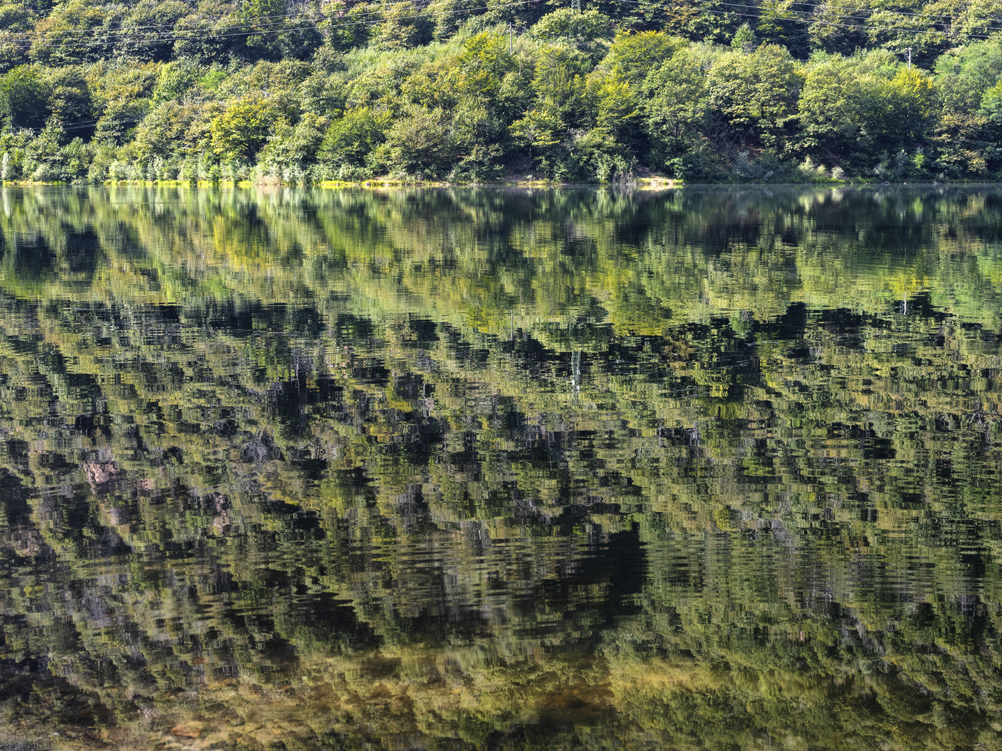 Riflessi nel lago