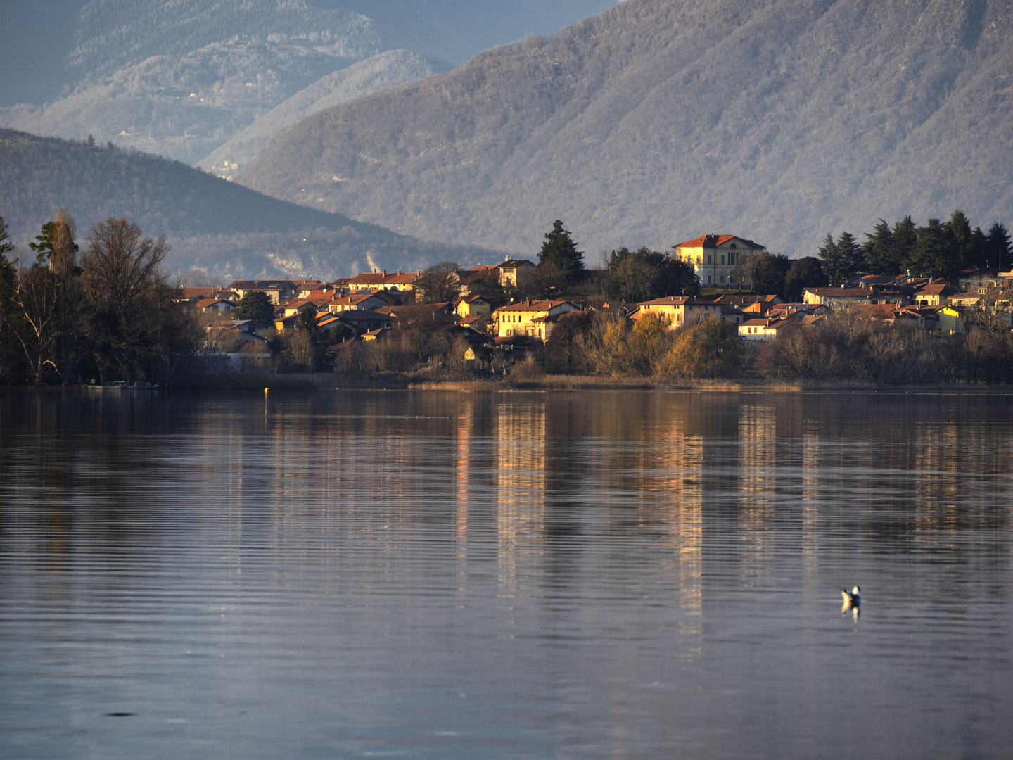 Riflessi nel lago