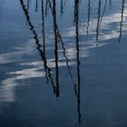 Riflessi nel porto