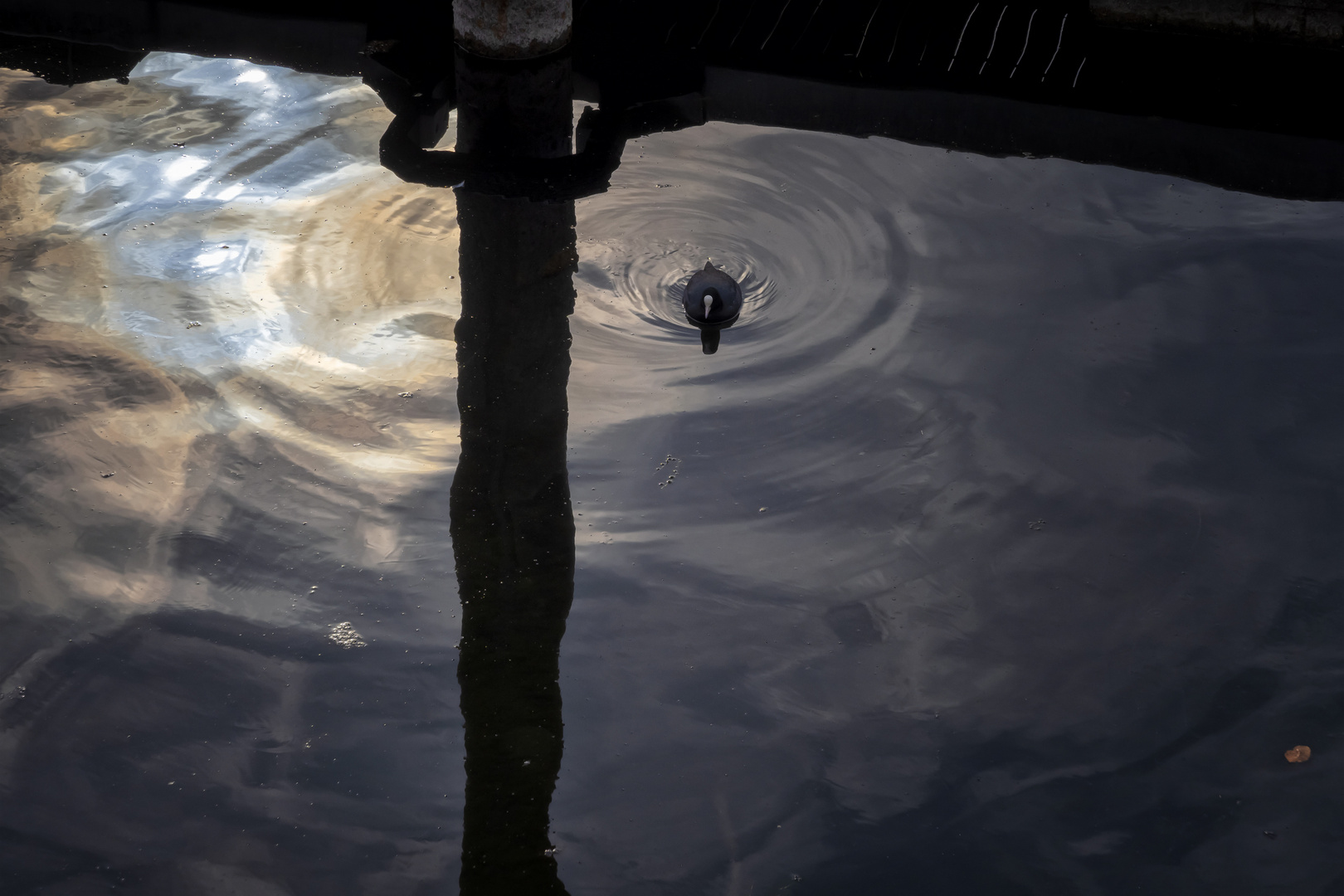 Riflessi nel porto