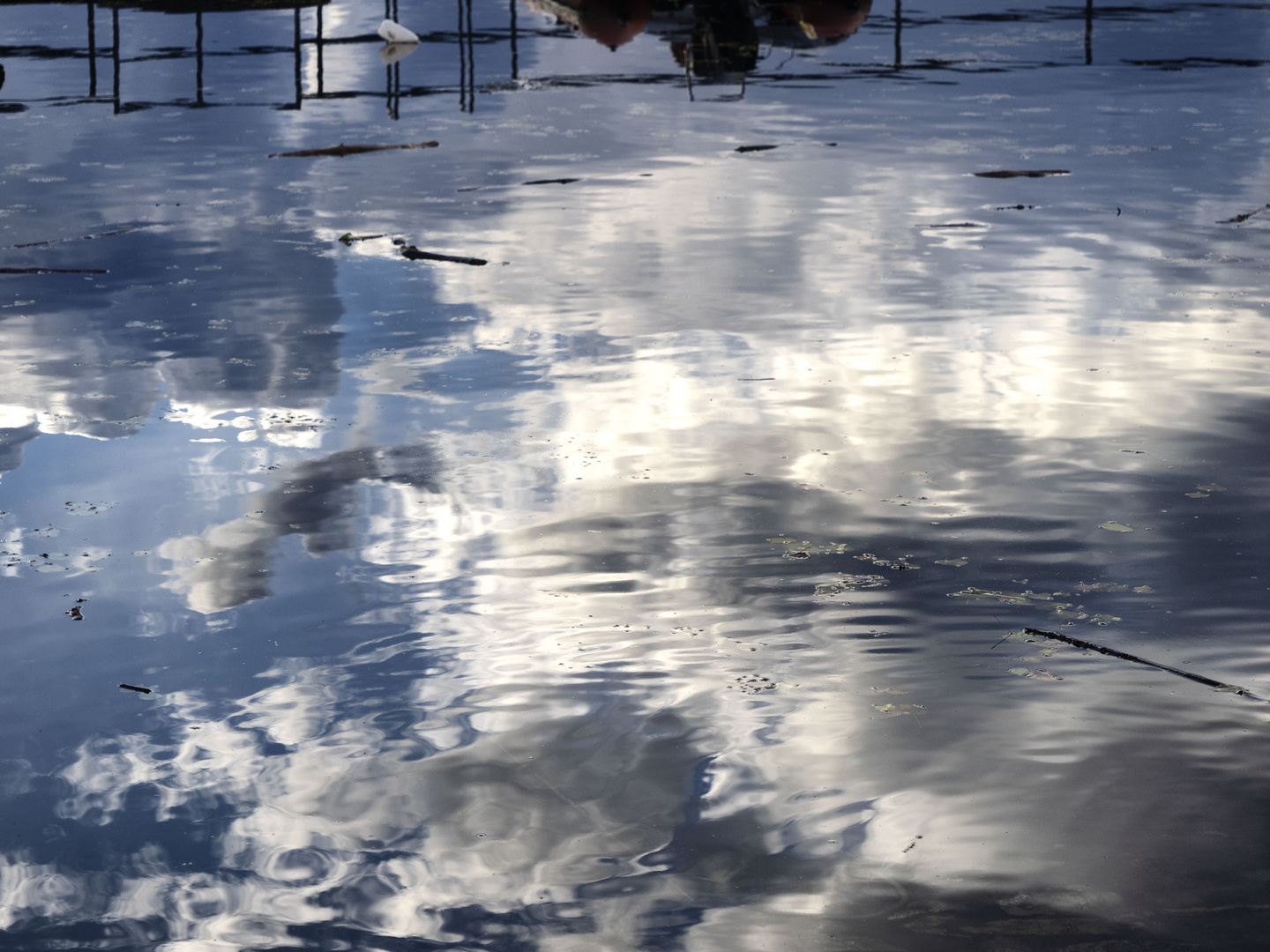 Riflessi nel porto