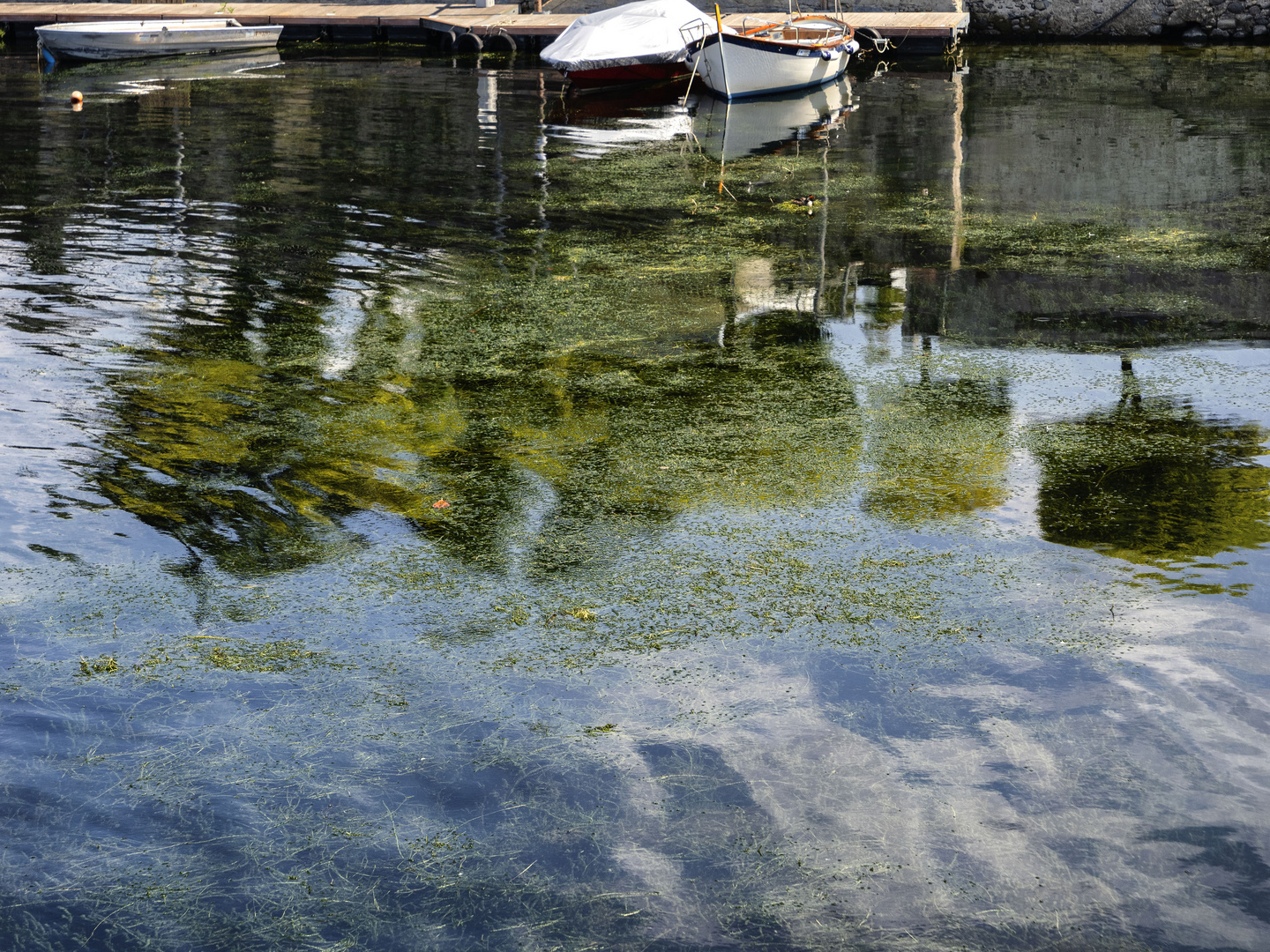 Riflessi nel porto