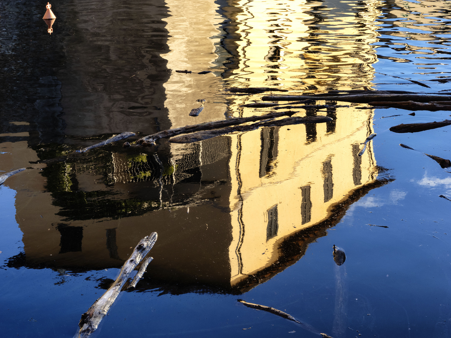 Riflessi nel porto