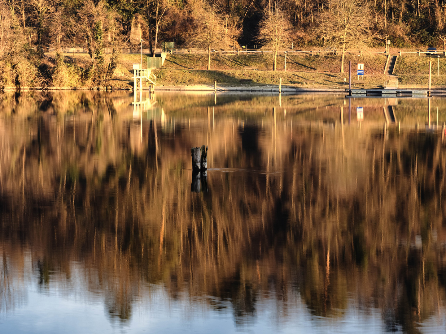 Riflessi nel Ticino