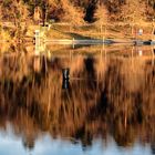 Riflessi nel Ticino