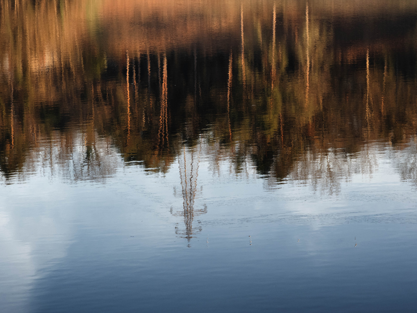 Riflessi nel Ticino