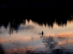 Riflessi nel Ticino