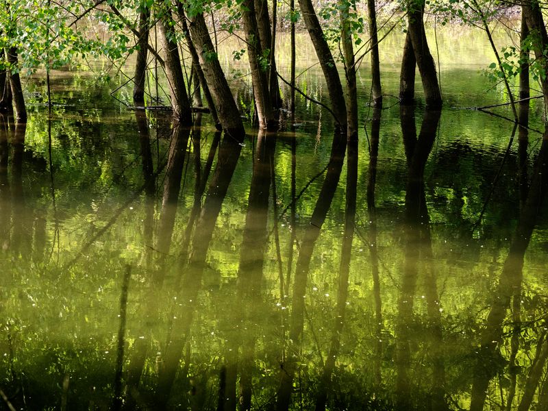 Riflessi nel torrente