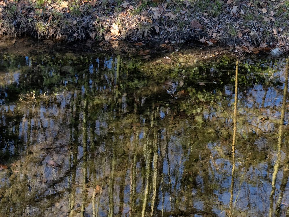 Riflessi nel torrente