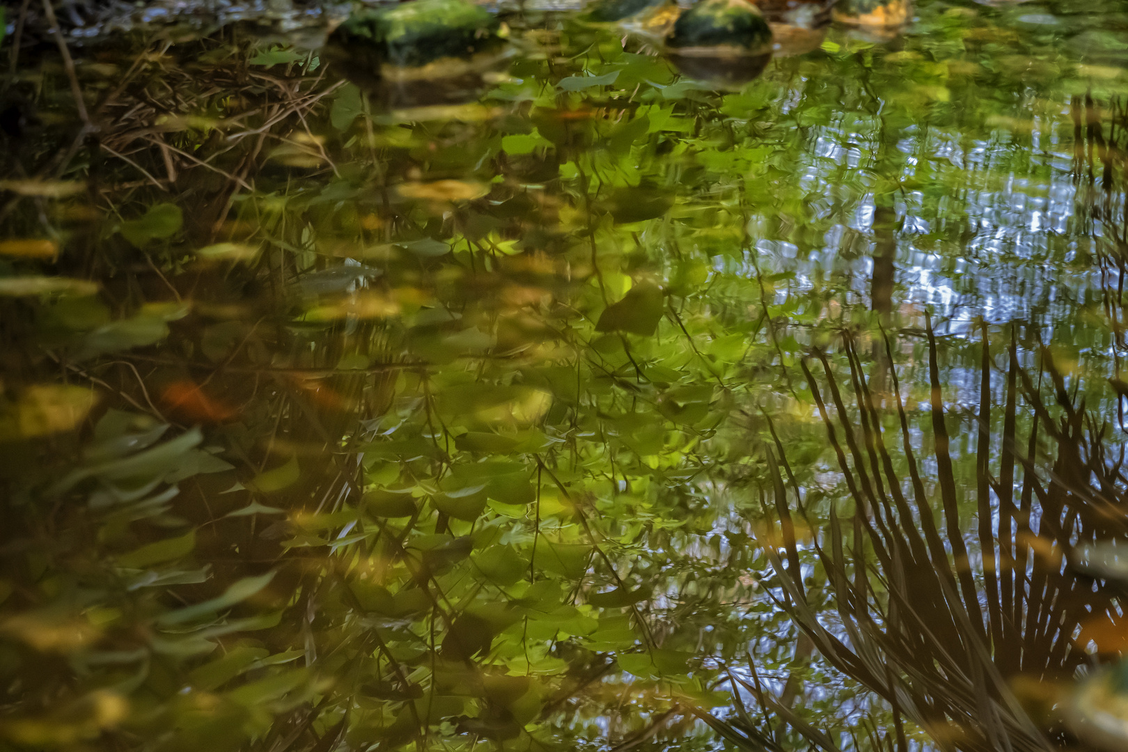 Riflessi nel torrente