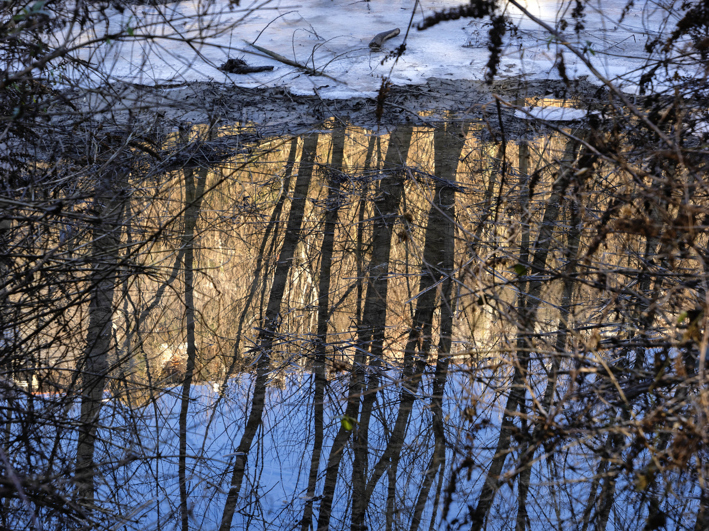 Riflessi nel torrente Froda