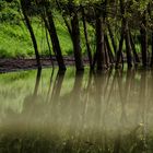 Riflessi nel torrente Froda