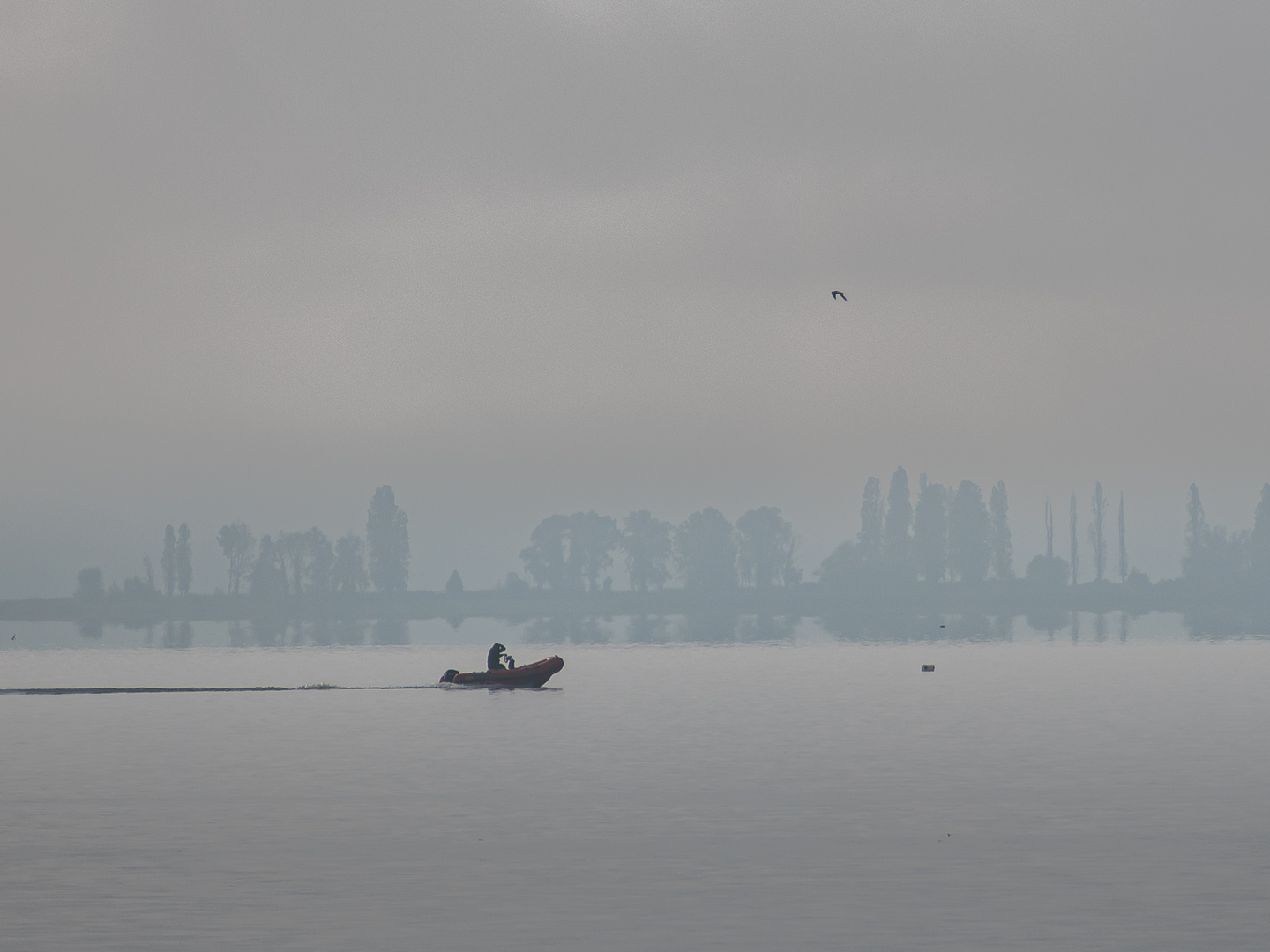 Riflessi nella nebbia