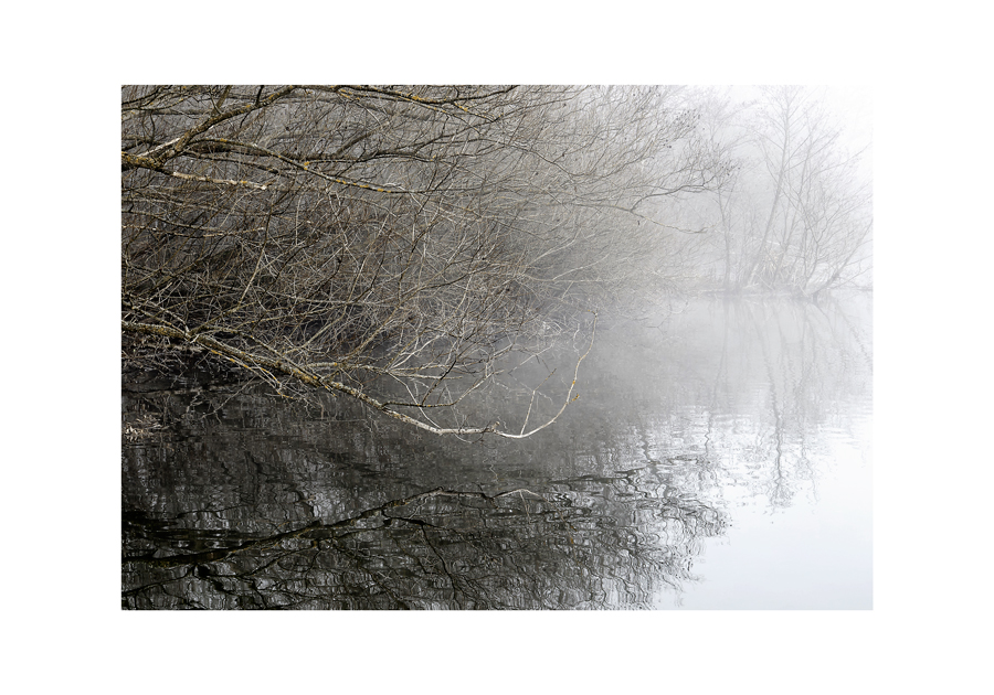 RIFLESSI NELLA NEBBIA