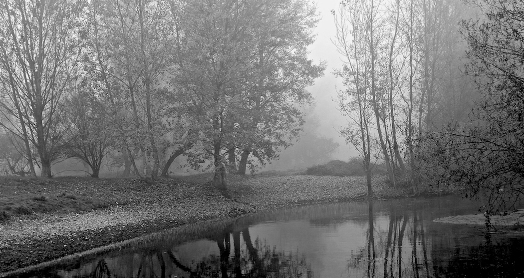 Riflessi nella nebbia/1