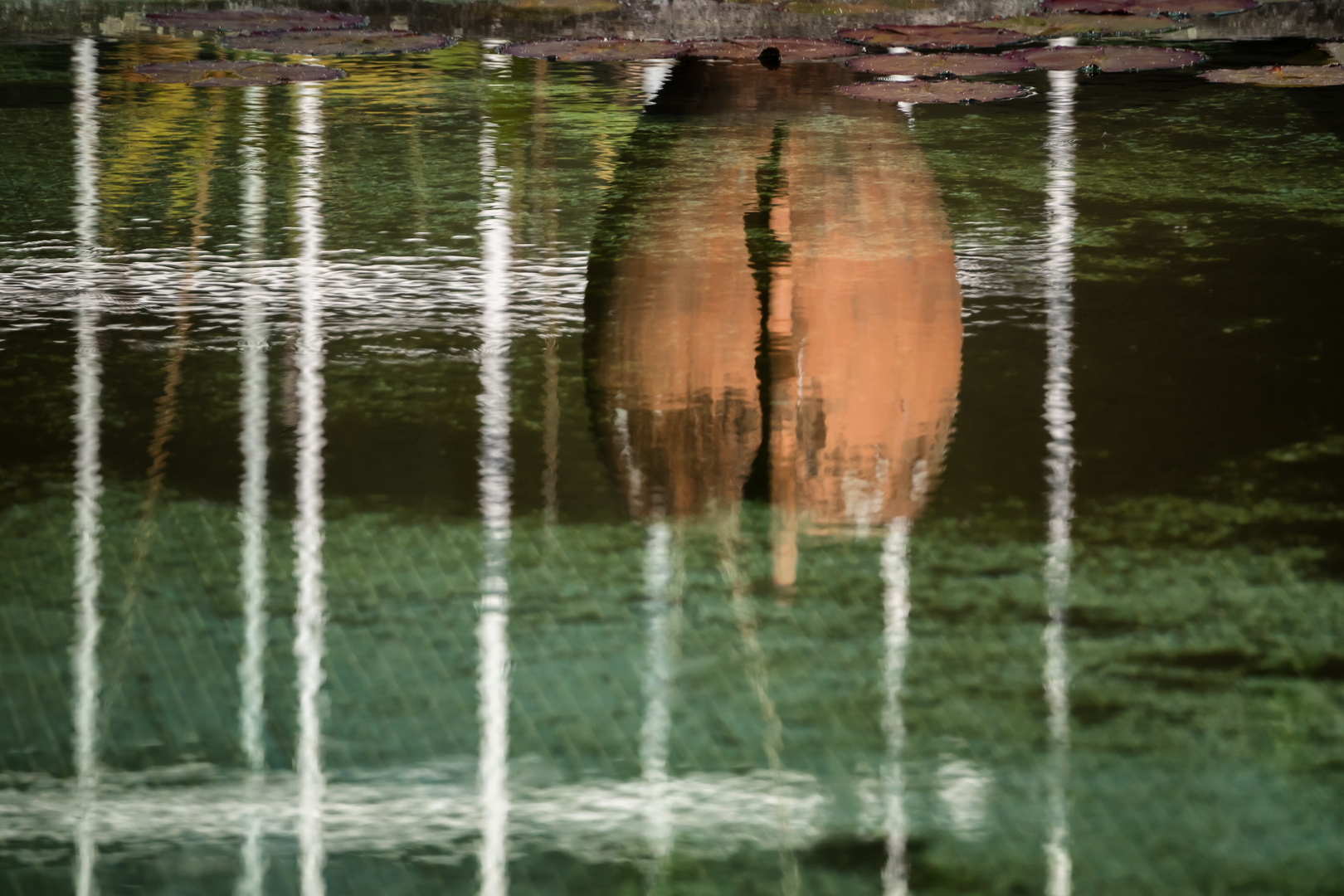 Riflessi nella vasca