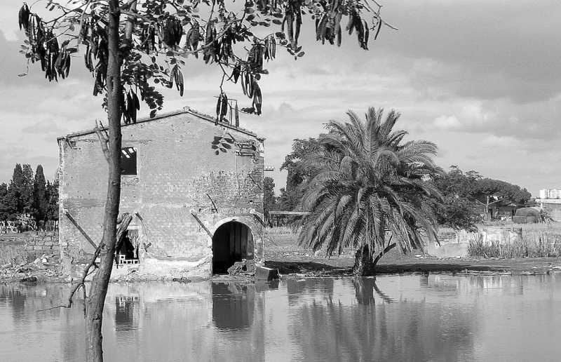 riflessi nell'acqua