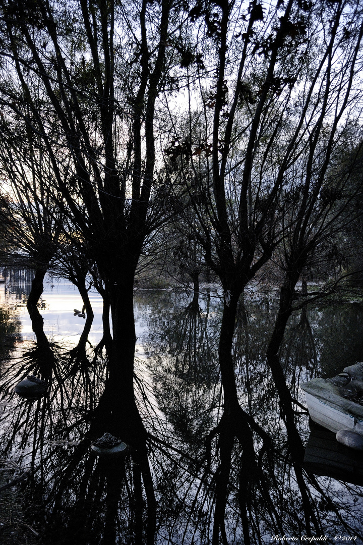 Riflessi nell'acqua