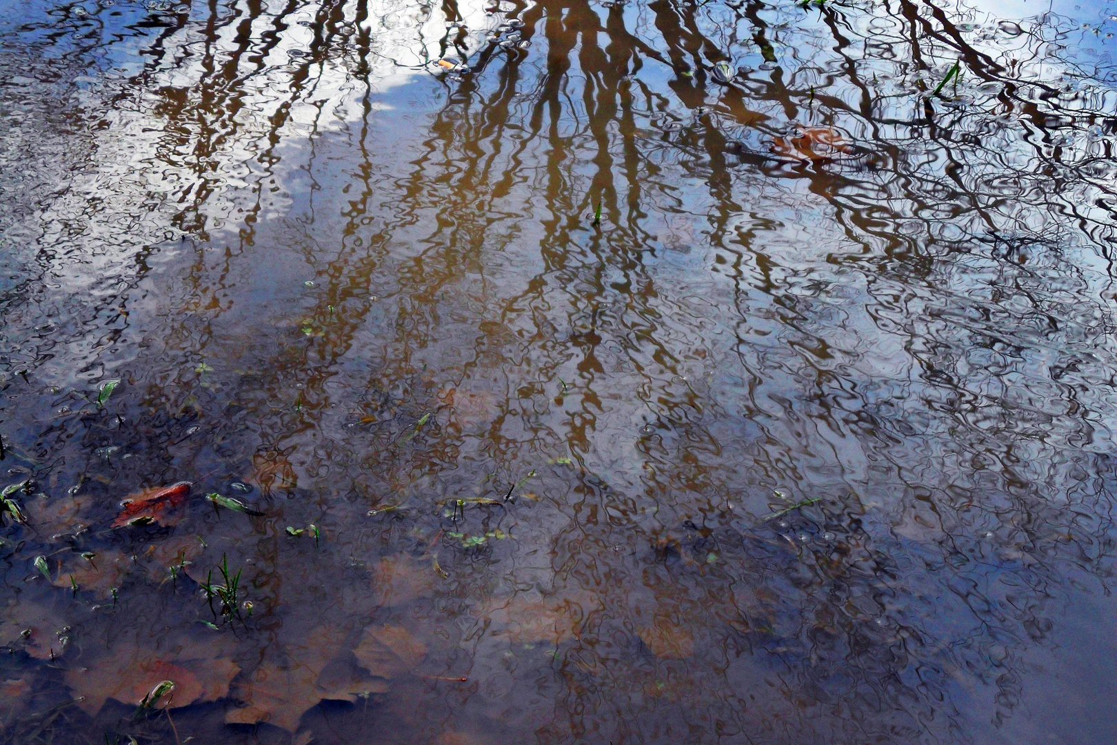 Riflessi nell'acqua...