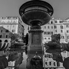 Riflessi - Piazza S. Maria In Trastevere