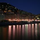 Riflessi su Camogli