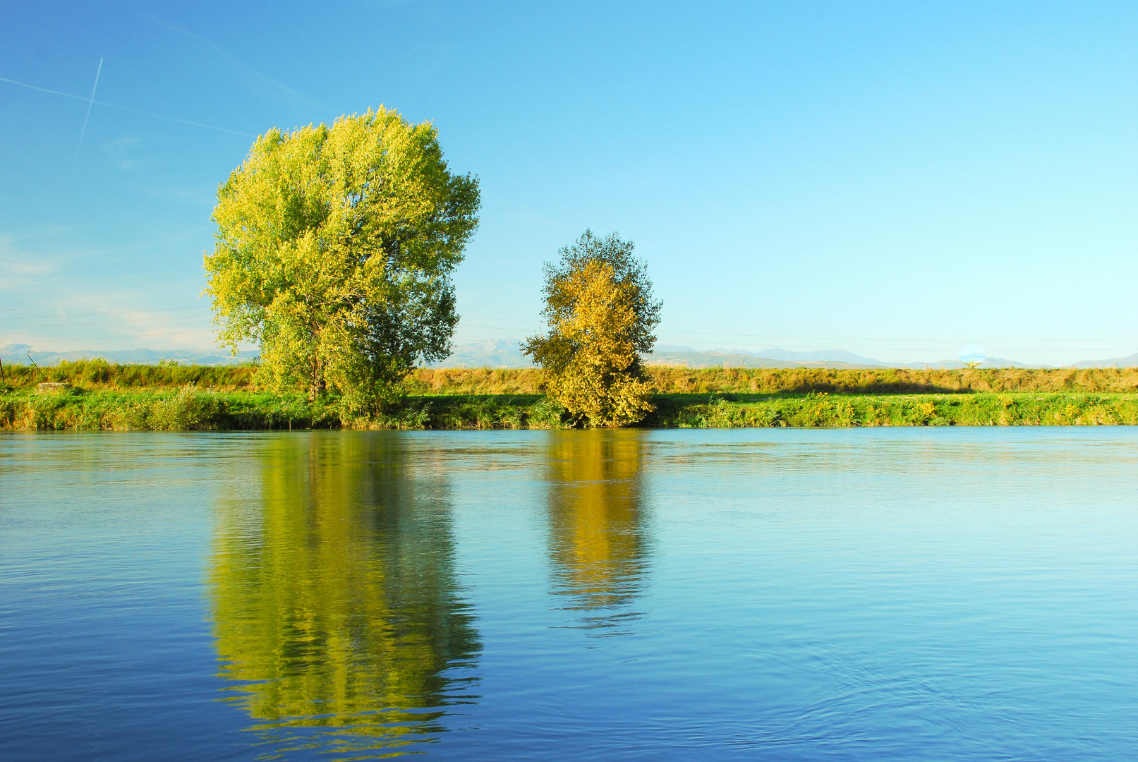 Riflessi sul Adige