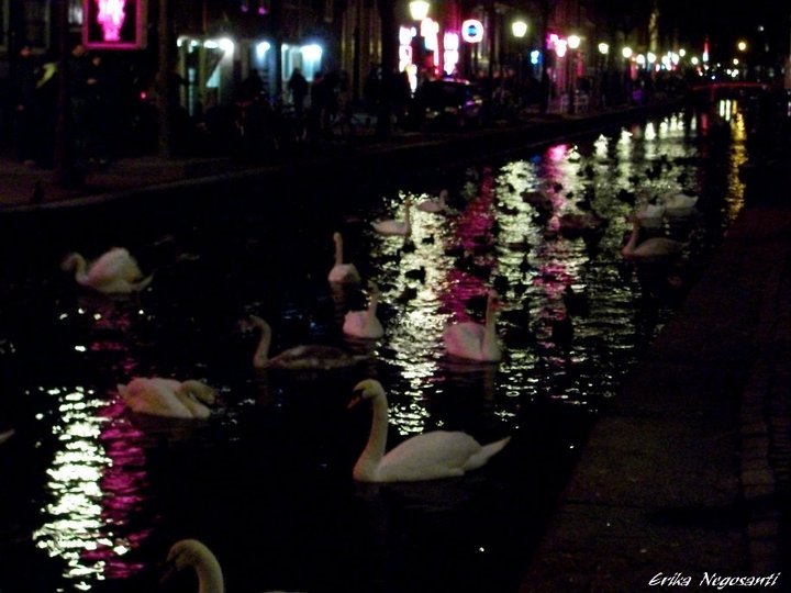 Riflessi sul Canale