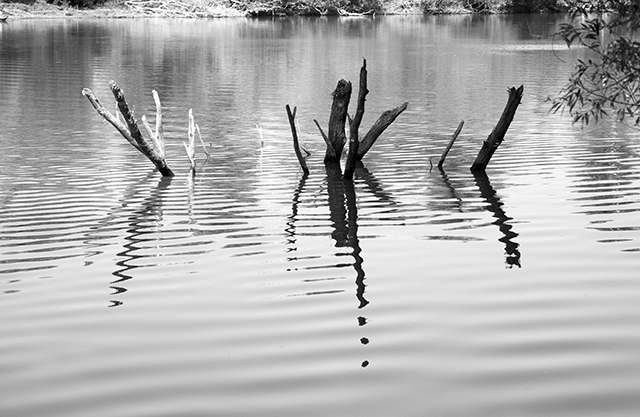 Riflessi Sul Fiume Adda