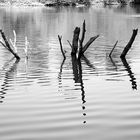 Riflessi Sul Fiume Adda