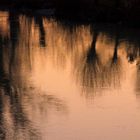 Riflessi sul fiume "Foglia" alla sera