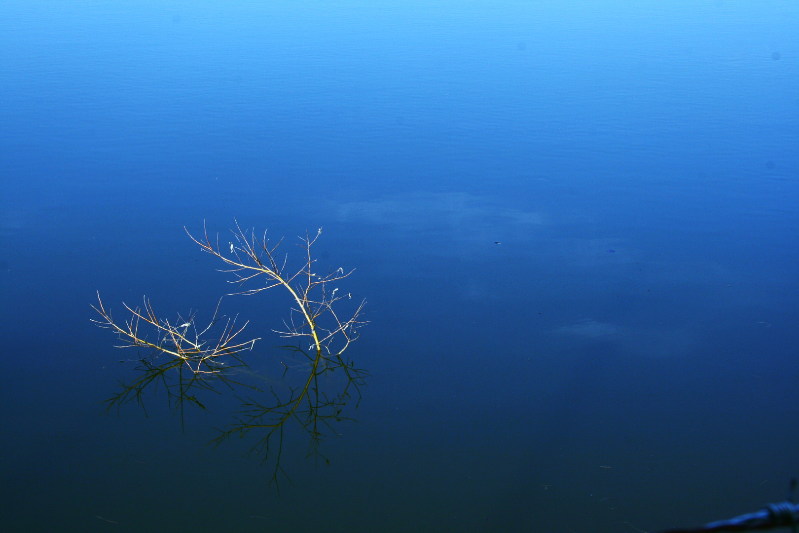 riflessi sul lago