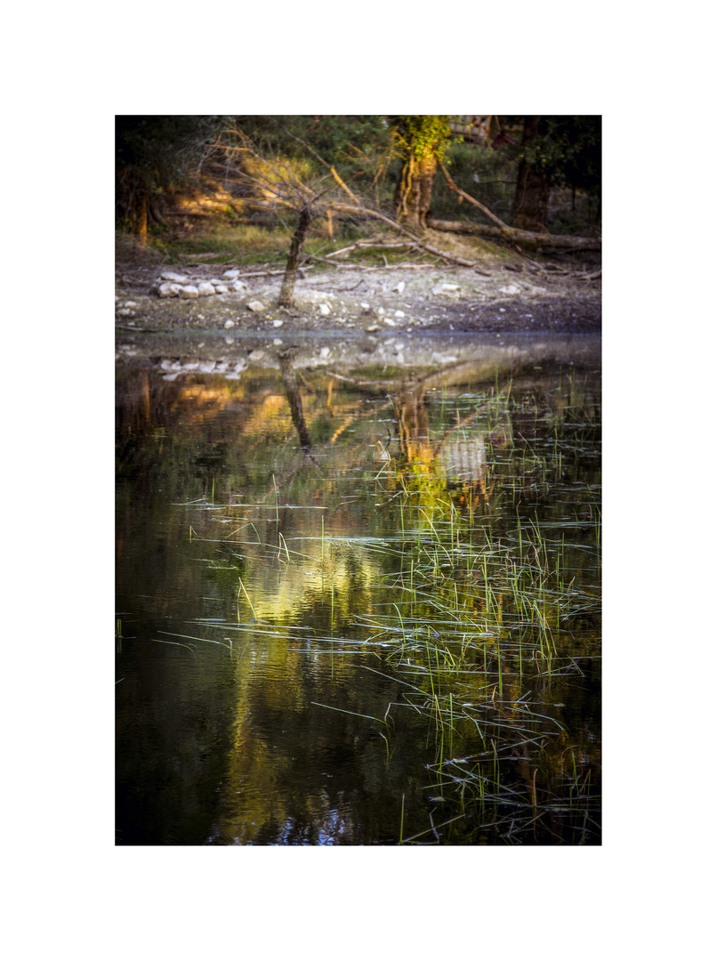 Riflessi sul lago....