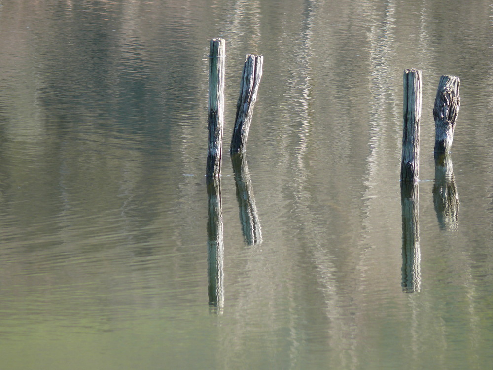 riflessi sul lago