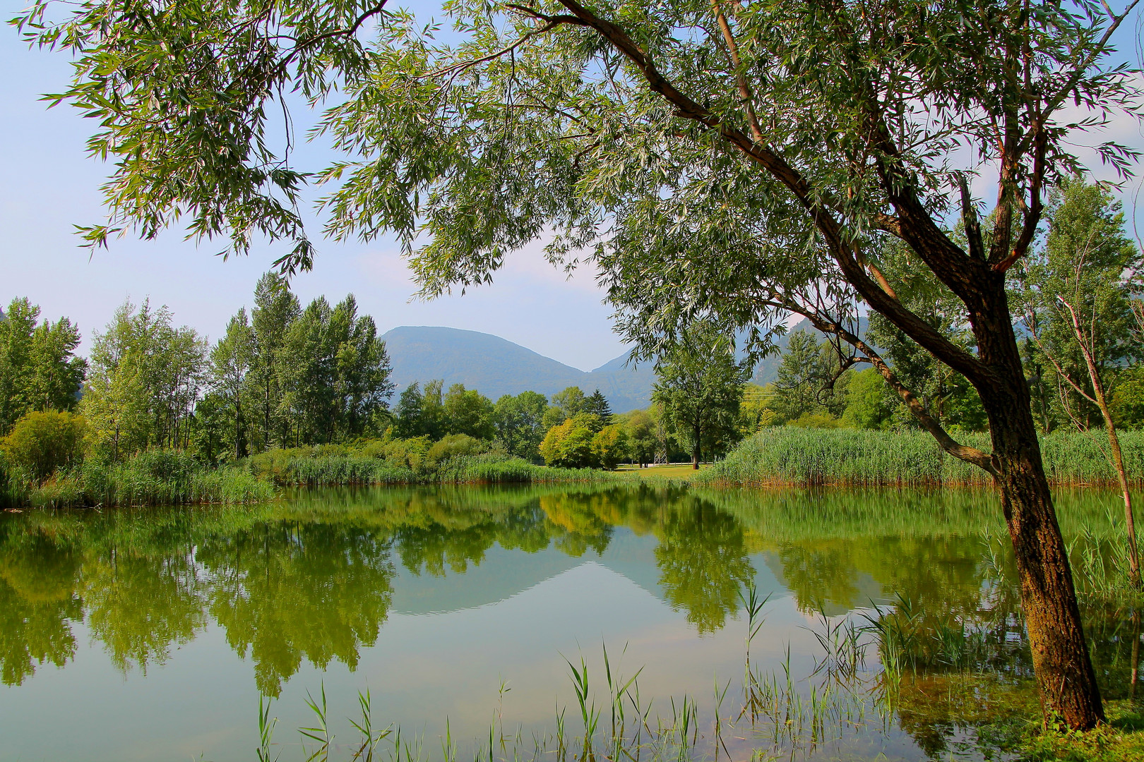 Riflessi sul Lago di Cavazzo (UD)