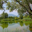 Riflessi sul Lago di Cavazzo (UD)