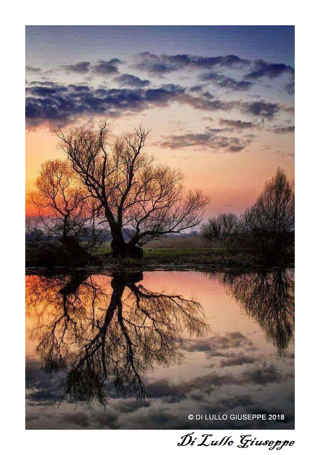 RIFLESSI SUL LAGO