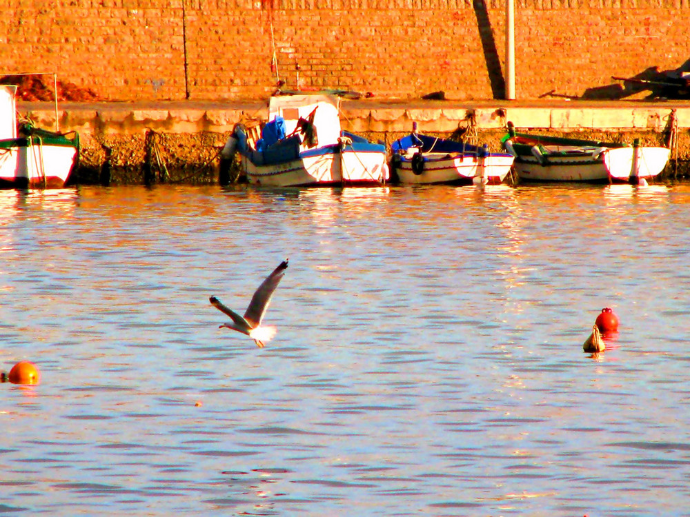 Riflessi sul mare.