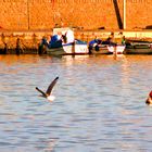 Riflessi sul mare.