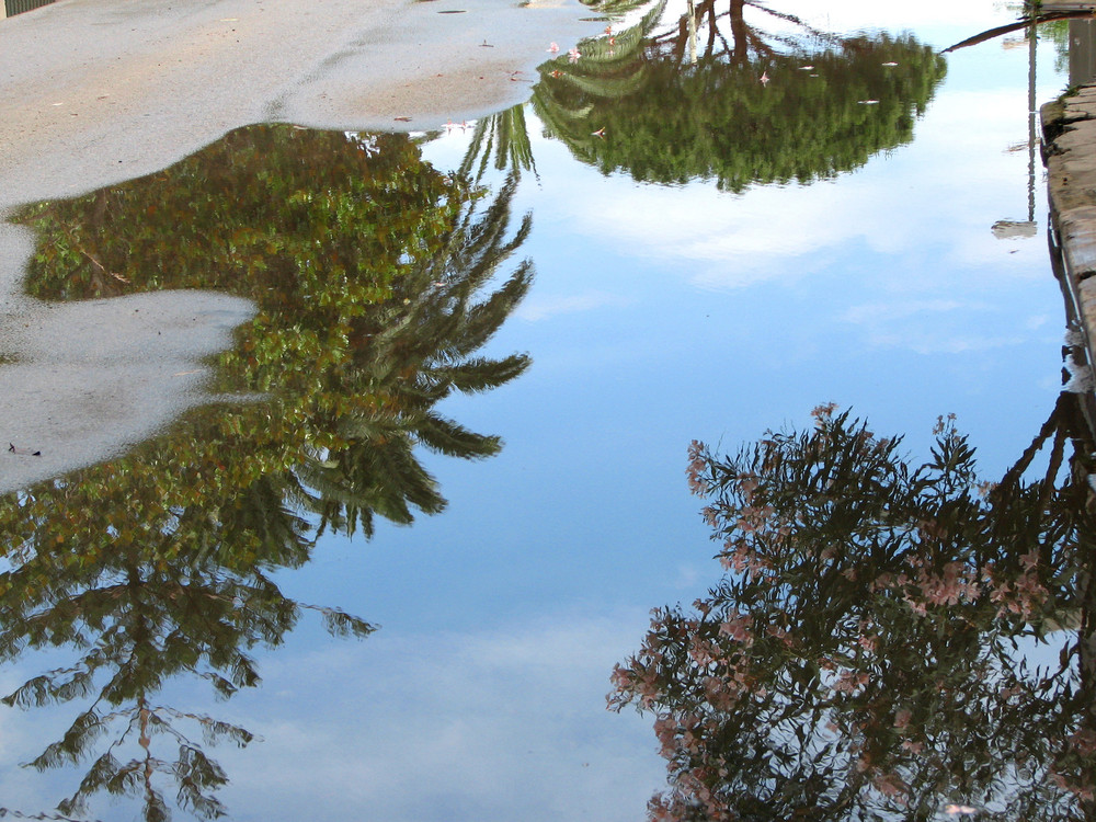 Riflessi sulla battigia