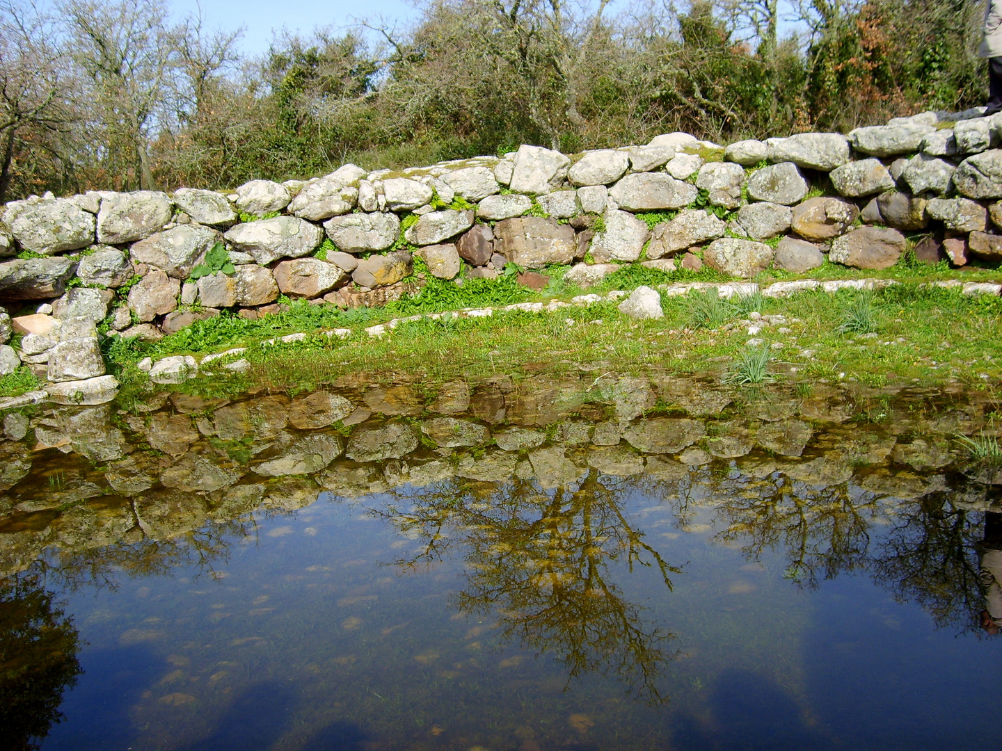 riflessi sull'acqua