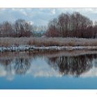 Riflessi sull'Arno