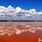 Riflessi sulle saline.