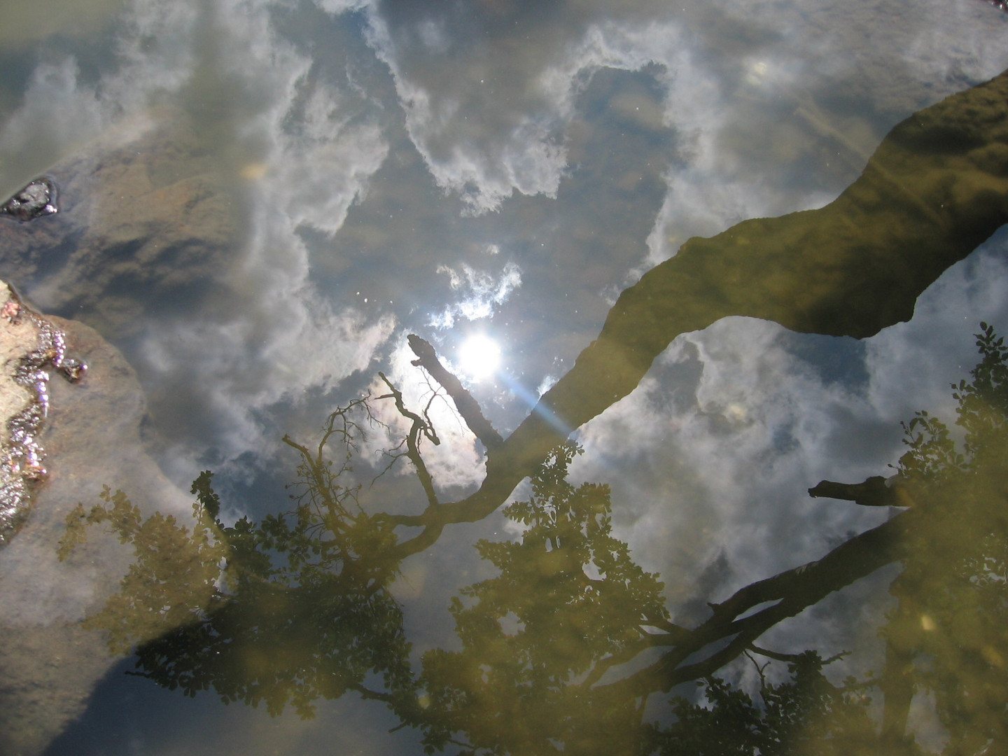 riflessi...e pausa di riflessione...