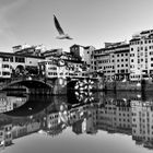 RIFLESSI….FIRENZE 