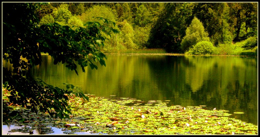 Rifless(ioni)....sul lago di Cei