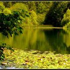 Rifless(ioni)....sul lago di Cei