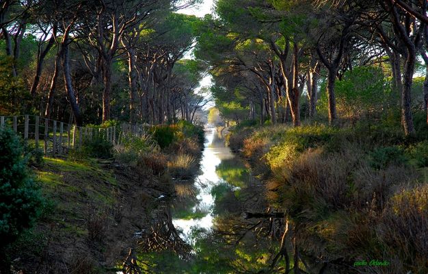 Riflessi.....rifletti!!!