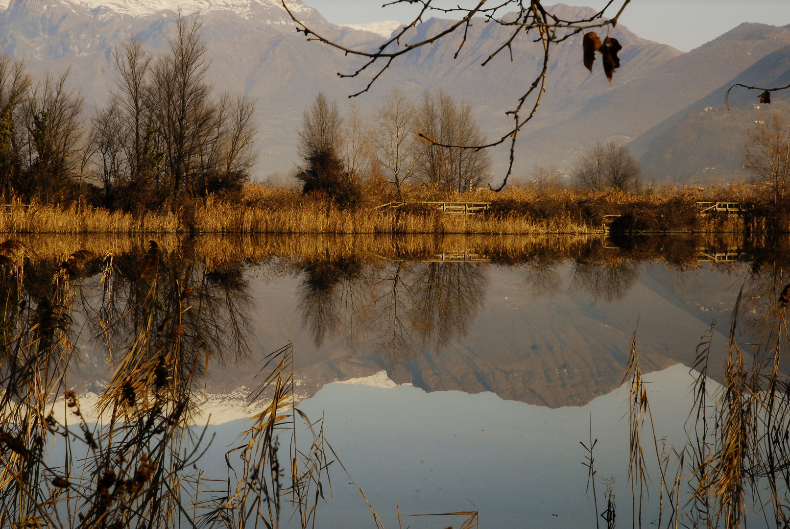 riflesso alle torbiere